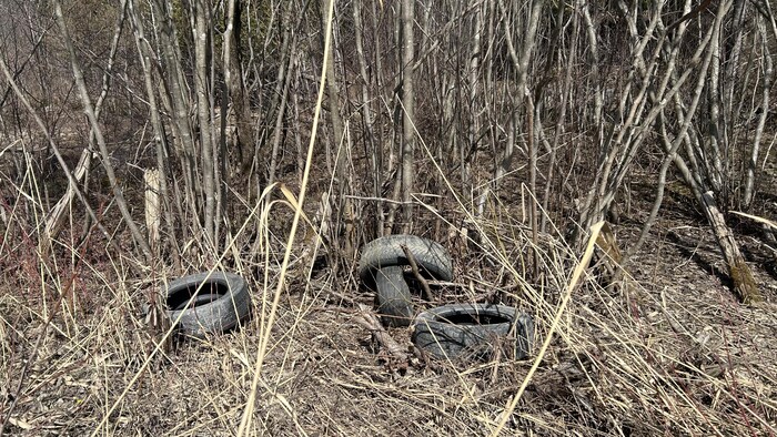 Des pneus laissés à l'abandon, dans les hautes herbes. 