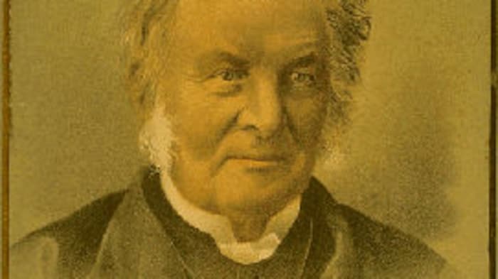 埃格顿·瑞尔森（Egerton Ryerson）是 19 世纪安大略省的一位重要政治家。