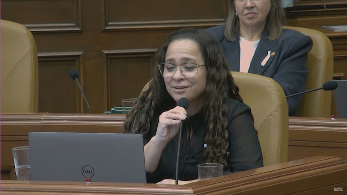 La conseillère municipale Fernanda Luz devant un micro.