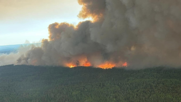 Vue aérienne d'un feu brûlant dans une forêt. Photo publiée le 30 mai 2023. 