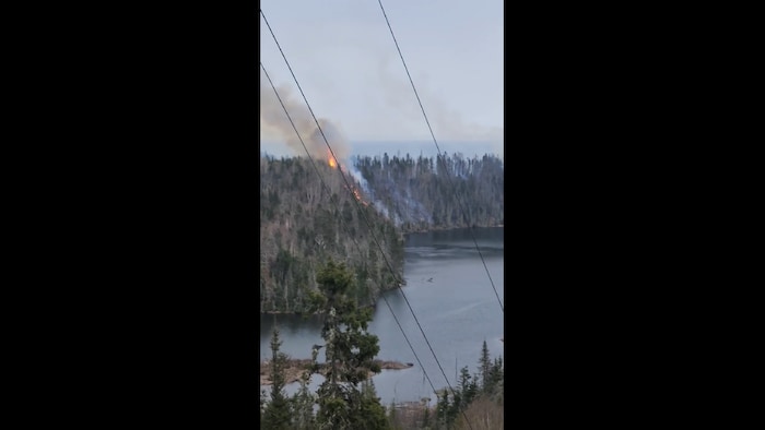 Un feu de forêt.