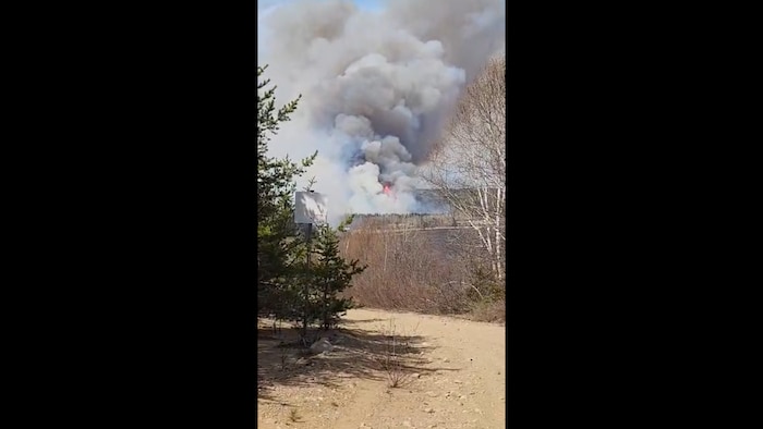 Un feu de forêt.