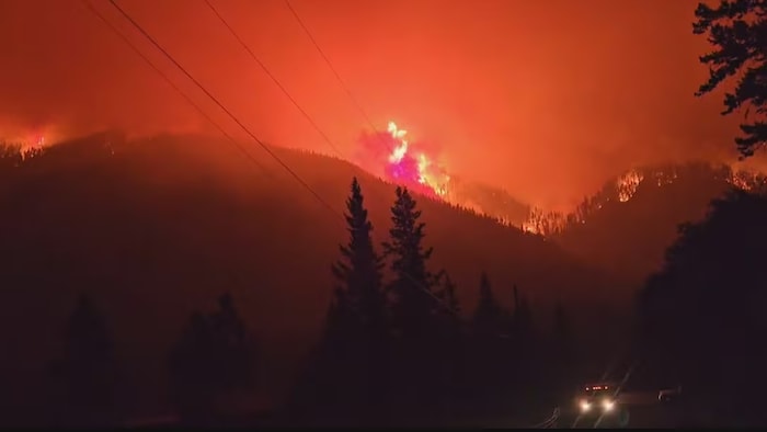 Un feu de forêt brûle sur le flanc d’une montagne. 
