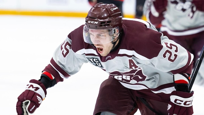 Un joueur patine vers ses coéquipiers après avoir inscrit un but