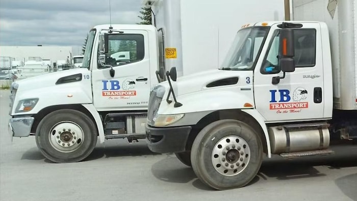 Trois camions floqués du nom de l'entreprise sont garés les uns à côté des autres. 