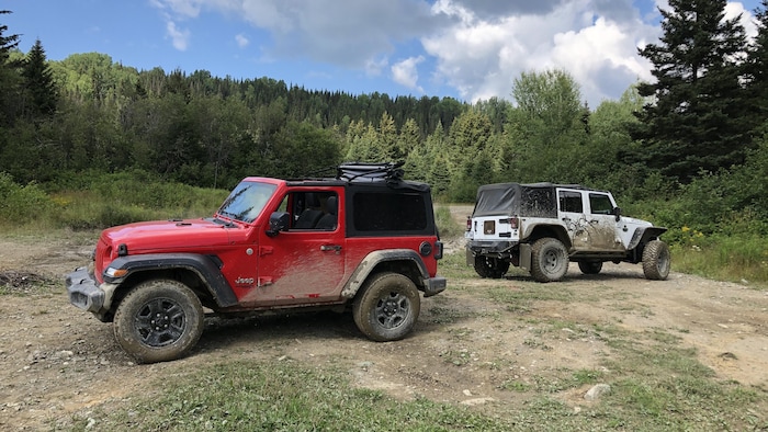 Un Wrangler blanc et un rouge