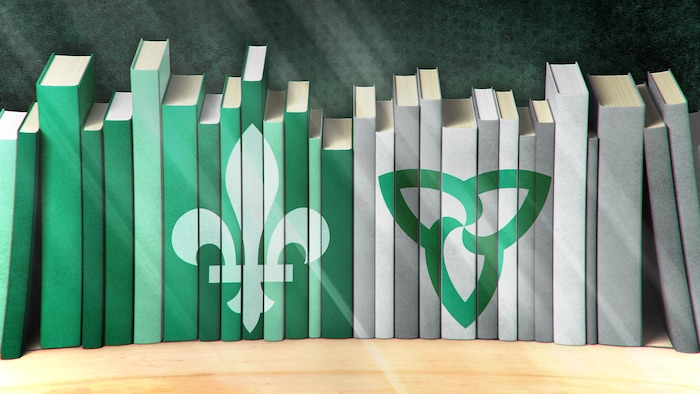 Illustration de plusieurs livres sur une tablette aux couleurs du drapeau franco-ontarien.