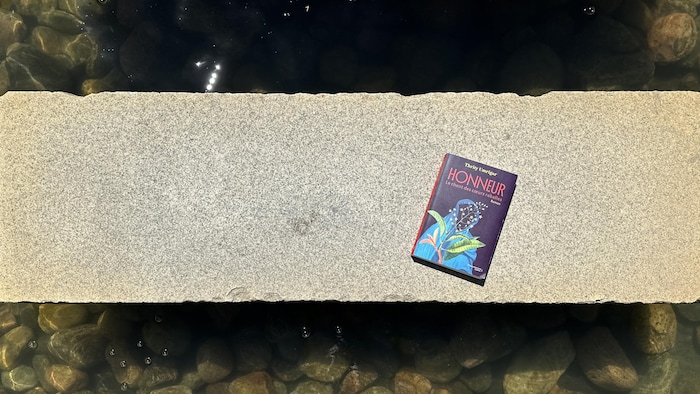 Le livre «Honneur – Le chant des cœurs rebelles» de Thrity Umrigar.