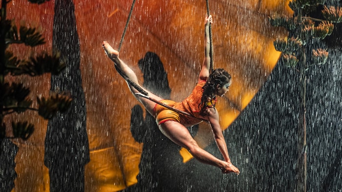 Le Cirque du Soleil revient à Ottawa avec Luzia | Radio-Canada