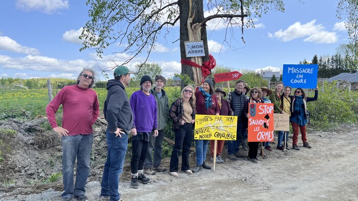 14 manifestants devant un arbre centenaire, pancartes en main.