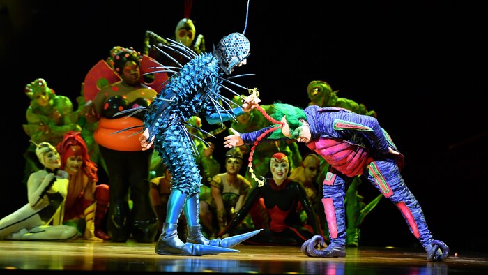OVO du Cirque du Soleil déploie ses ailes à Ottawa en 2025 | Radio-Canada