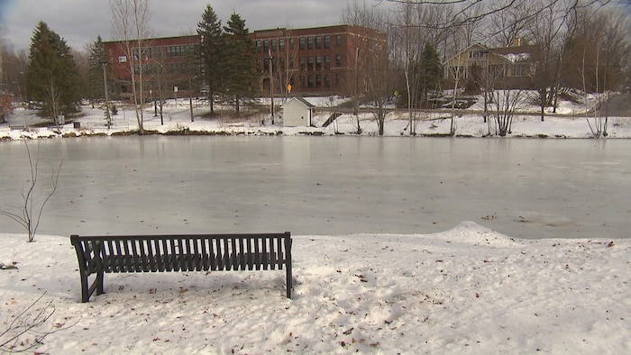Un banc devant une patinoire vide.