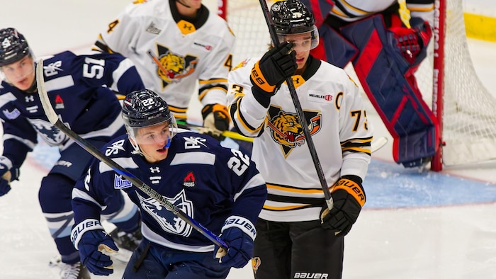 Sam Rochon Un week-end parfait pour le Phoenix de Sherbrooke | Radio-Canada
