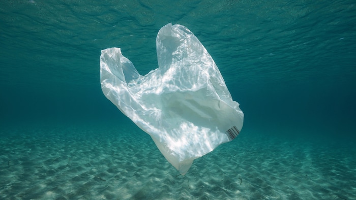 Sommes-nous prêts pour l'interdiction des plastiques à usage unique?, L'ennemi plastique