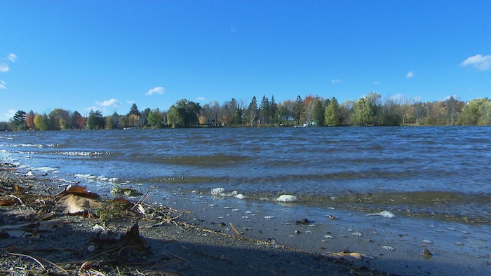 加拿大政府宣布成立水务局，以保护水资源。