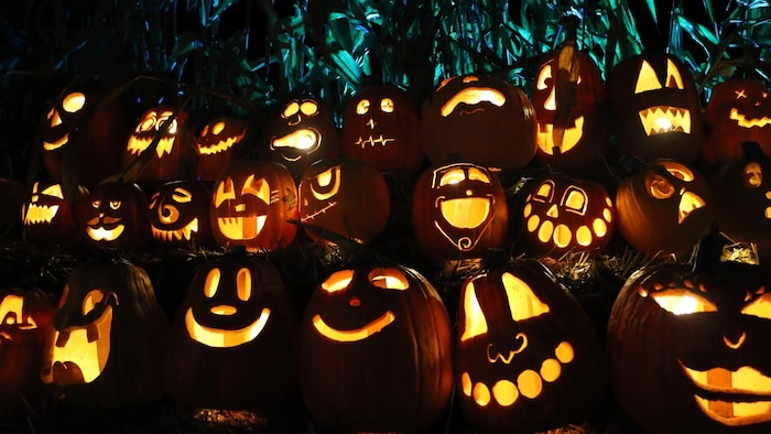 Plusieurs citrouilles illuminées et décorées différemment.