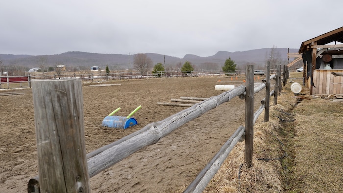 Un manège extérieur, entouré de clôtures de bois. 