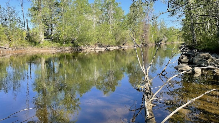 La rivière Chaudière. 