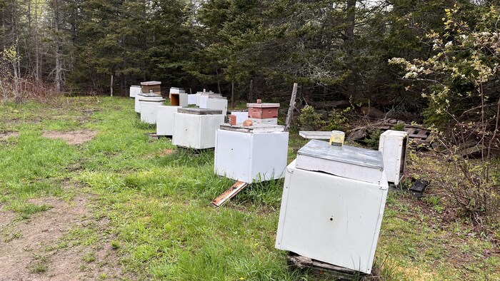 Prix du gaz, ampoules halogènes, pesticides tueurs d'abeilles… ce qui  change au 1er septembre