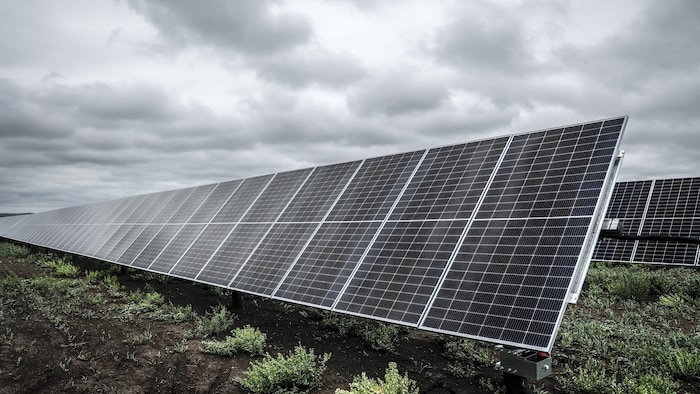 Des panneaux solaires du projet Michichi près de Drumheller le 11 juillet 2023