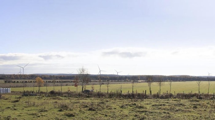 Un paysage campagnard avec des éoliennes au loin.