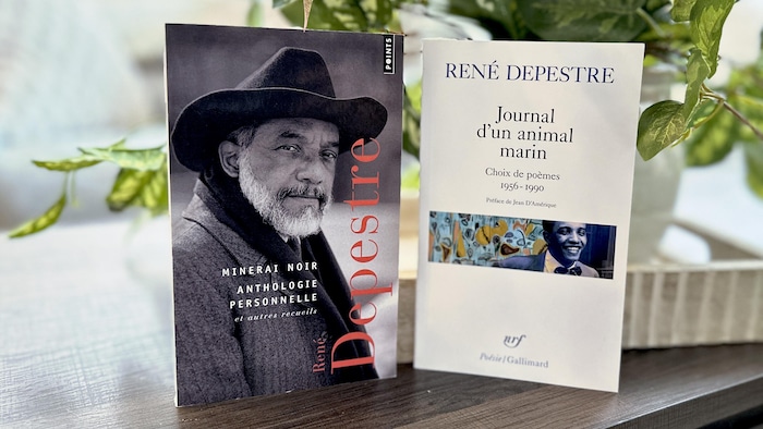 Des livres de René Depestre.