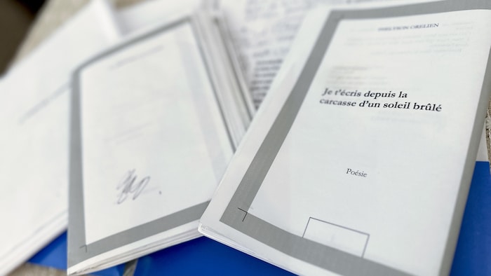 Des recueils de poèmes inédits de Thélyson Orélien.