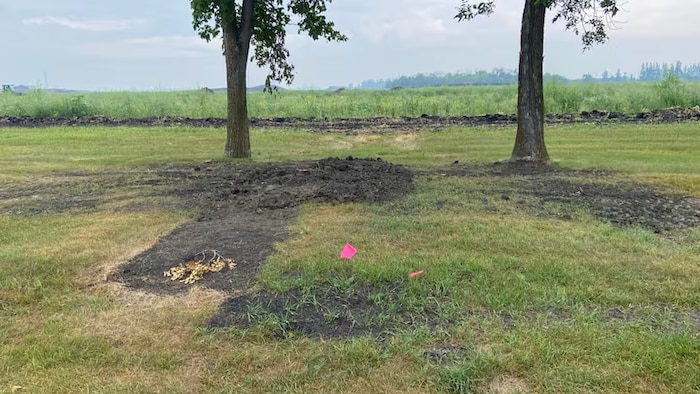 Une tombe excavée, avec des arbres derrière.