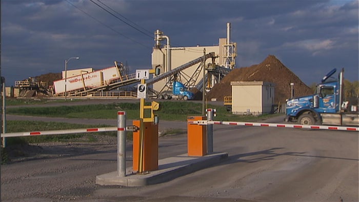 Des amas de résidus forestiers sont visibles devant l'usine de cogénération qui devra les brûler pour produire de l'électricité. 
