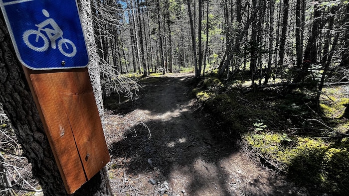 Un sentier de vélo de montagne.