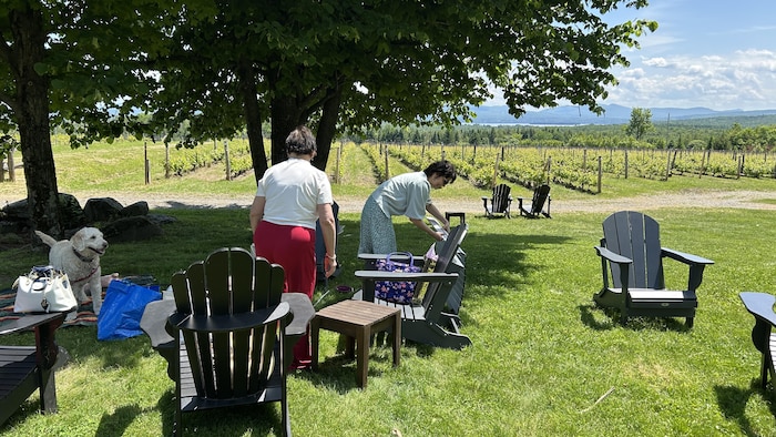 Des visiteurs dans le vignoble Léon Courville