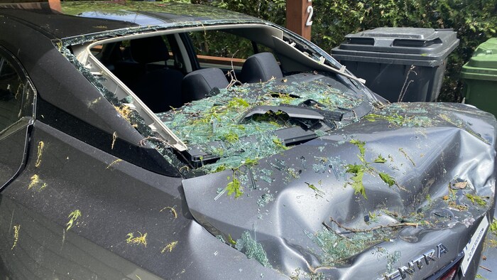 Une vitre de voiture fracassée.