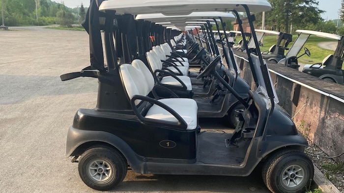 Des voiturettes de golf.