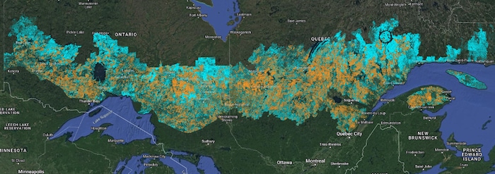 Une carte de la forêt boréale en Ontario et au Québec.
