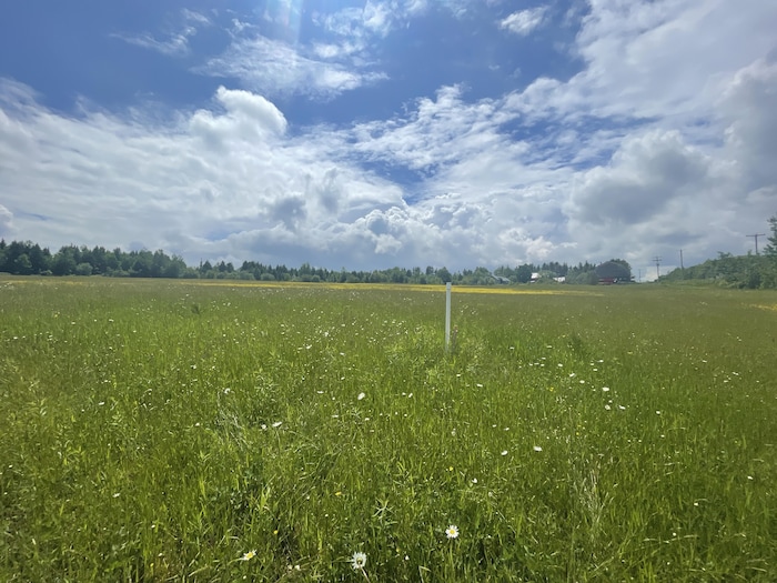 Un piquet blanc dans un champ. 