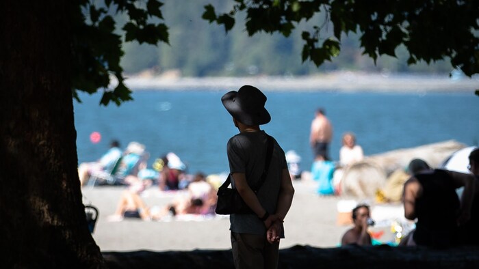 Une personne à l'ombre d'un arbre avec des personnes sur une plage au soleil (Archives).