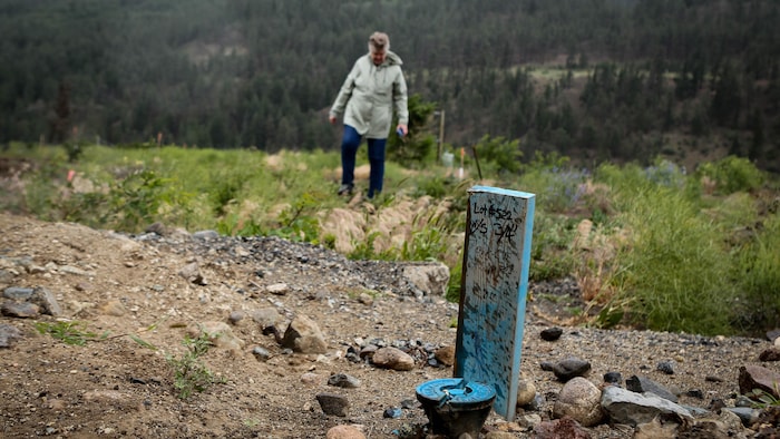 Un baton où est écrit "lot 522" est installé devant un terrain vide, Denise O'Connor marche derrière.