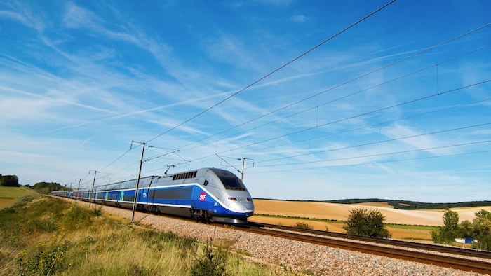 Un train à grande vitesse passe à travers un champ.