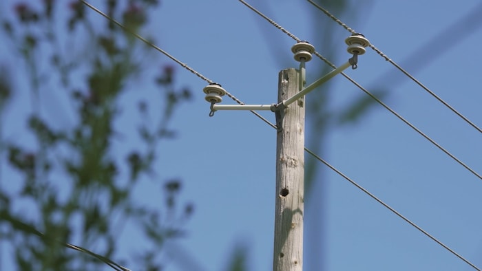 Un poteau de distribution d'électricité avec un trou creusé par un pic-bois.