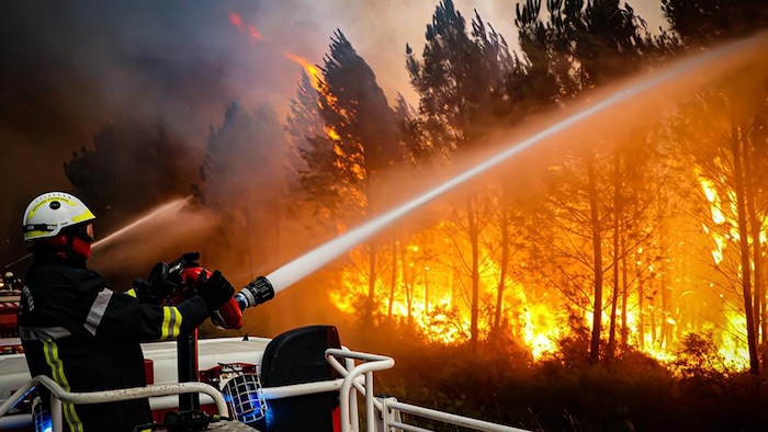 رجل إطفاء يشارك في مكافحة حريق غابة.