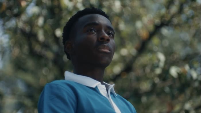 Un jeune homme, devant un arbre.