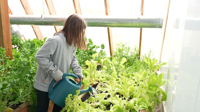 Une élève arrose les plants dans la serre.