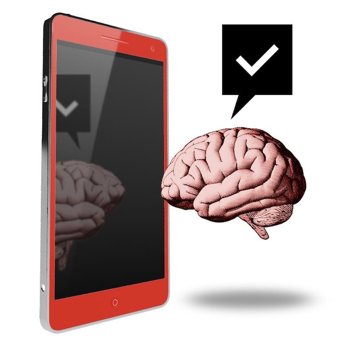 Un cerveau qui contemple sa propre réflexion dans un écran de téléphone portable.