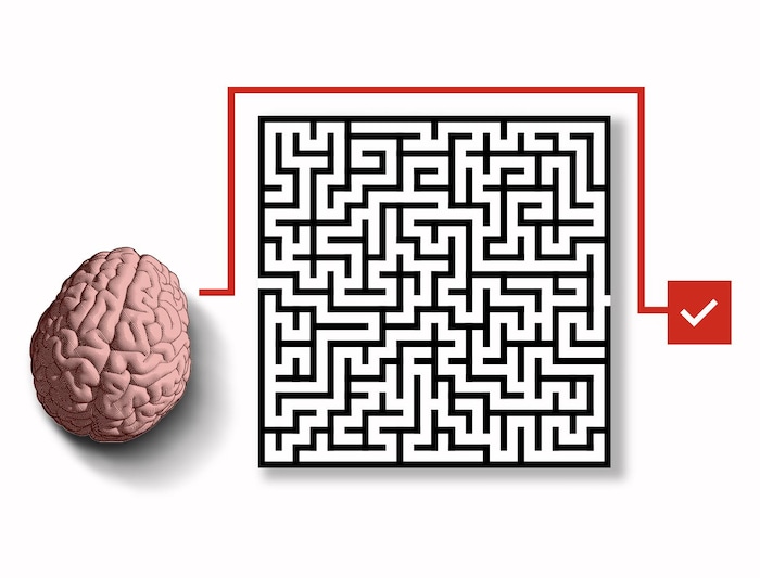 Un cerveau qui trace un chemin afin de contourner un labyrinthe.
