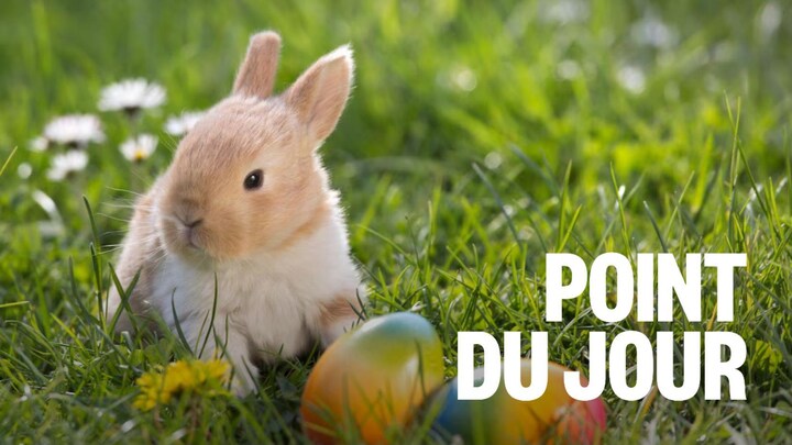Un lapin et des oeufs colorés dans du gazon.