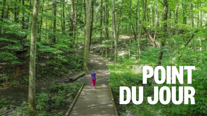 Une personne marche sur un seniter en nature.