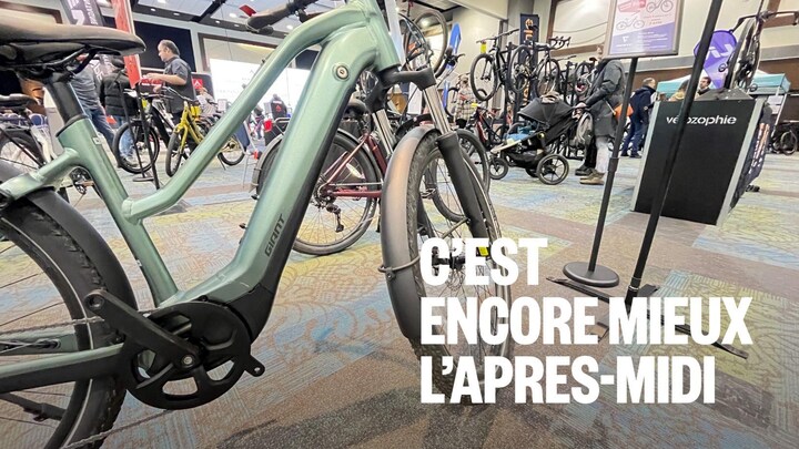Plusieurs vélos à assistance électrique dans un magasin de vélos.
