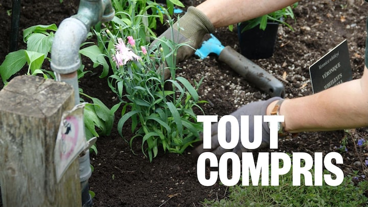 Des mains gantées mettent une plante en terre.