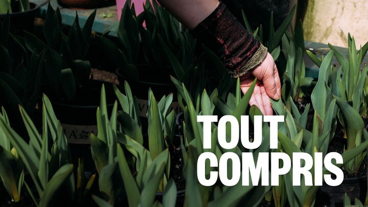 Une main touche une plante verte dans un jardin.