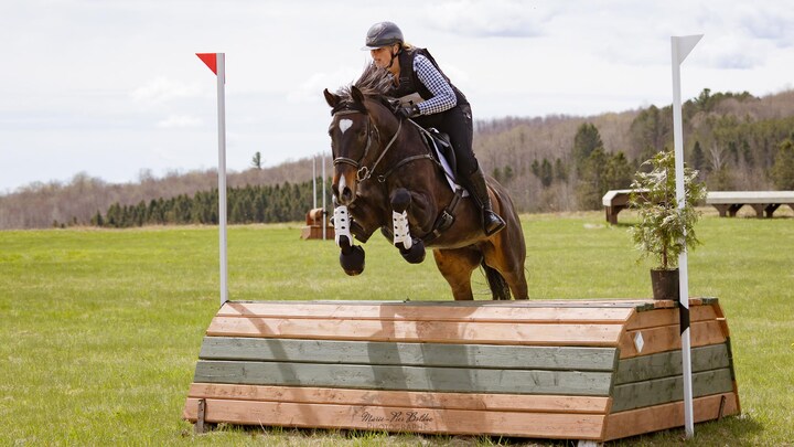Une cavalière saute à cheval au-dessus d'un obstacle. 